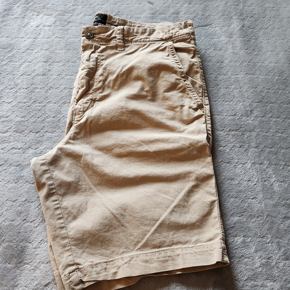 American Eagle Outfitters Men's Shorts Size 34 - Picture 11 of 11